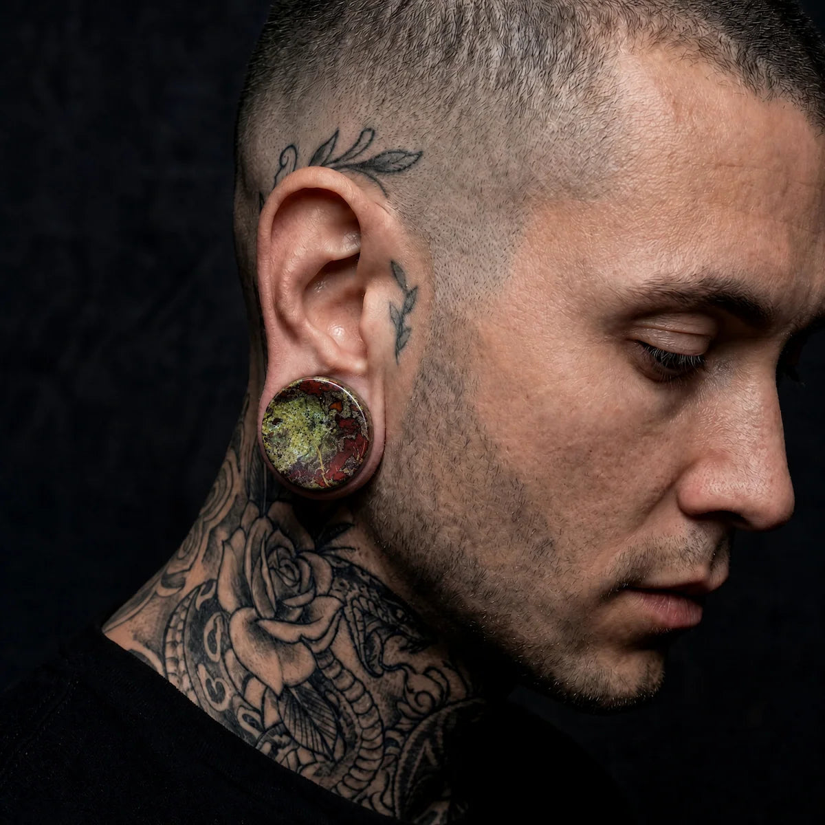 Dragons Blood Concave Plugs
