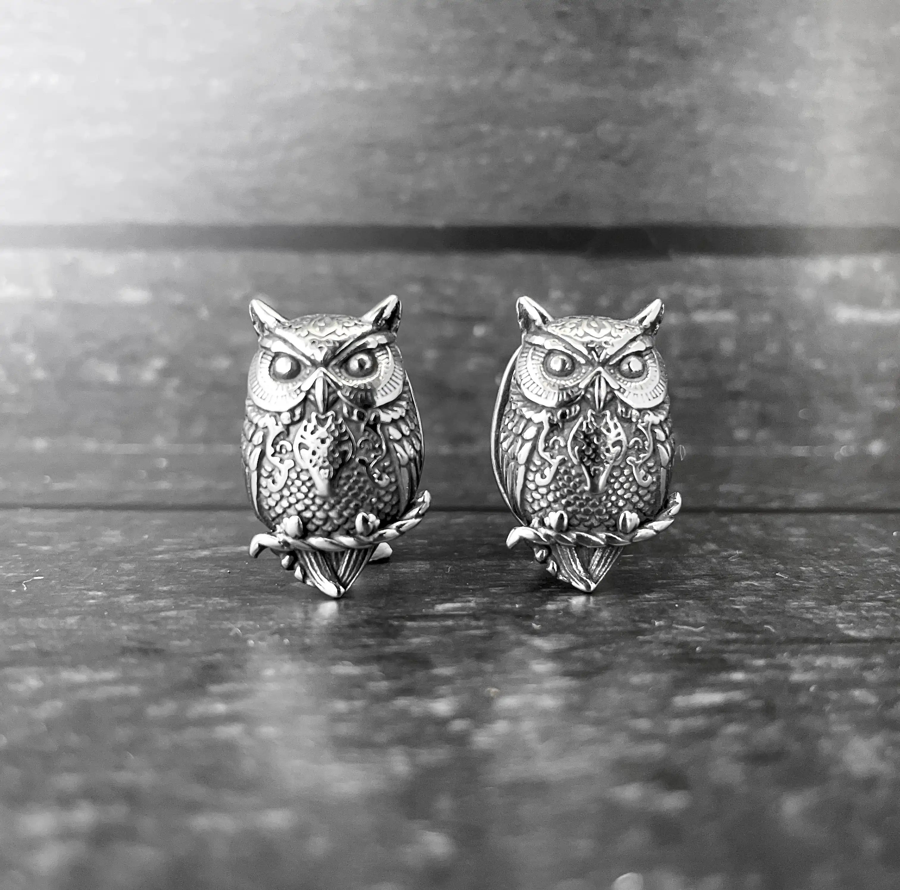 Owl Ear Weights